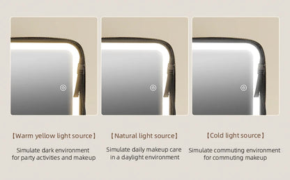Makeup Travel Train Case with LED Lighted Mirror, 3 Color Adjust Settings, Travel Makeup Bag With Adjustable Dividers,